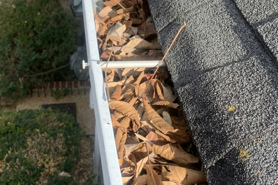 Gutter Cleaning Gotha