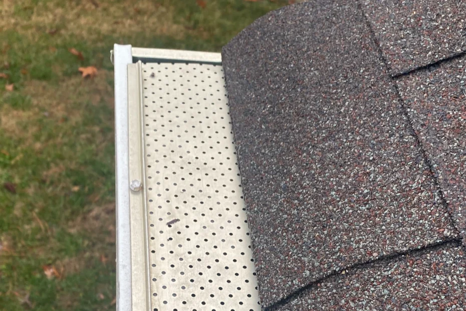 Gutter Cleaning Gotha